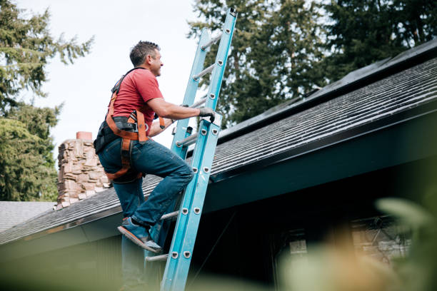 Best Roof Coating and Sealing  in Andrews, SC